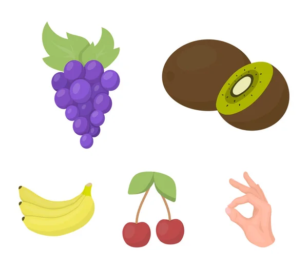 Kiwi, uvas, cereza, banana.Fruits set colección iconos en el estilo de dibujos animados vector símbolo stock ilustración web . — Vector de stock