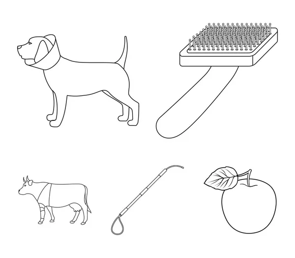 Pes, krávy, skot, chovat jako v bavlnce. Veterán klinika sada kolekce ikon v osnovy styl vektor symbol akcií ilustrace web. — Stockový vektor