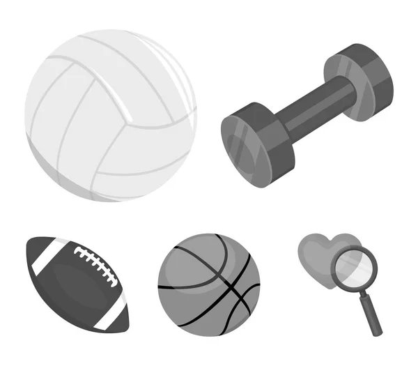 Blue dumbbell, white soccer ball, basketball, rugby ball. Sport set collection icons in monochrome style vector symbol stock illustration web. — Stock Vector