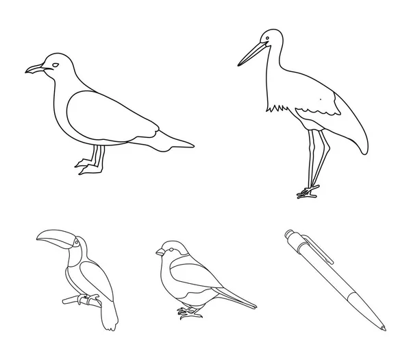 Una cigüeña, una gaviota y varias especies. Birds set collection icons in outline style vector symbol stock illustration web . — Vector de stock