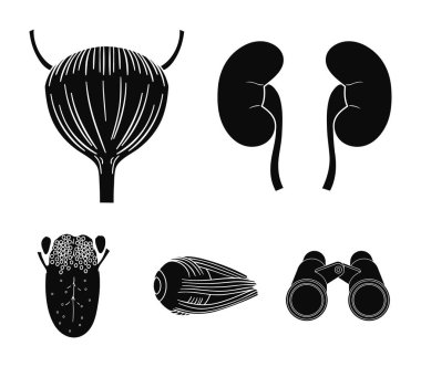 Böbrek, mesane, gözü, dili. İnsan organlarını toplama simgeler siyah stil vektör simge stok çizim web içinde ayarla..