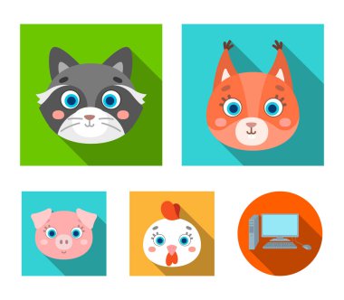 Protein, rakun, tavuk, domuz. Hayvanlar namlu toplama simgeler düz stil vektör simge stok çizim web içinde ayarla..