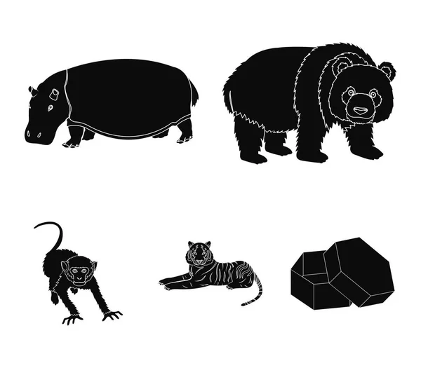 たけくま、カバ、野生動物のトラ、サル。野生動物は黒スタイル ベクトル シンボル ストック イラスト web でコレクションのアイコンを設定. — ストックベクタ