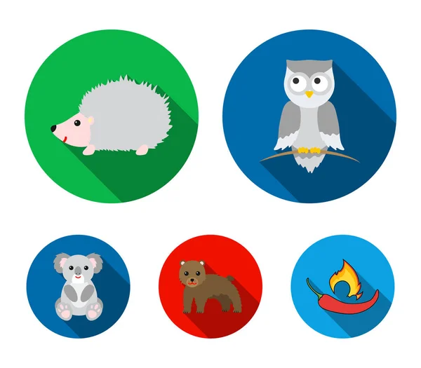 Koala, hibou, ours, hérisson. Ensemble animal collection icônes en style plat vectoriel symbole illustration web . — Image vectorielle