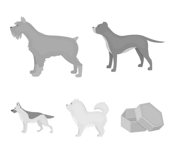 Питбуль, немецкая овчарка, чау-чау, шнауцер. Собаки породы набор значки коллекции в монохромном стиле векторные символы фондовые иллюстрации веб . — стоковый вектор