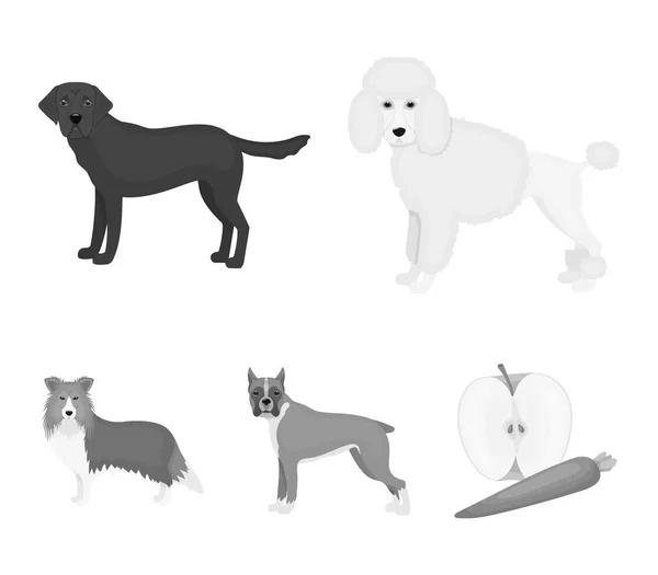 Perro razas iconos monocromáticos en conjunto de colección para design.Dog mascota vector símbolo stock web ilustración . — Vector de stock