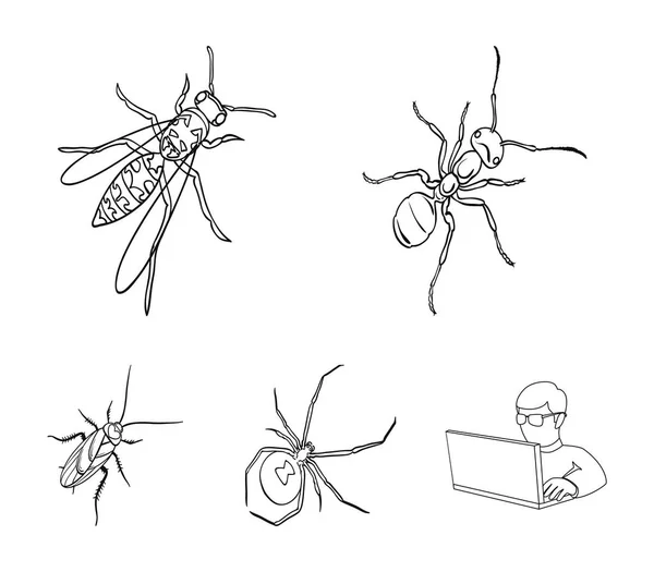 Hyönteisten niveljalkainen, osa, hämähäkki, torakka. Hyönteiset asettaa kokoelma kuvakkeet ääriviivat tyyli vektori symboli varastossa isometrinen kuva web . — vektorikuva