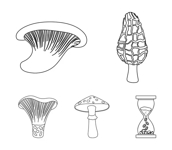 Morel, oyster, green amanita, actarius indigo.Mushroom set collection icônes dans le style contour vectoriel symbole illustration web . — Image vectorielle