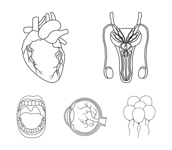 Sistema masculino, corazón, globo ocular, cavidad oral. Conjunto de órganos iconos de colección en contorno estilo vector símbolo stock ilustración web . — Archivo Imágenes Vectoriales