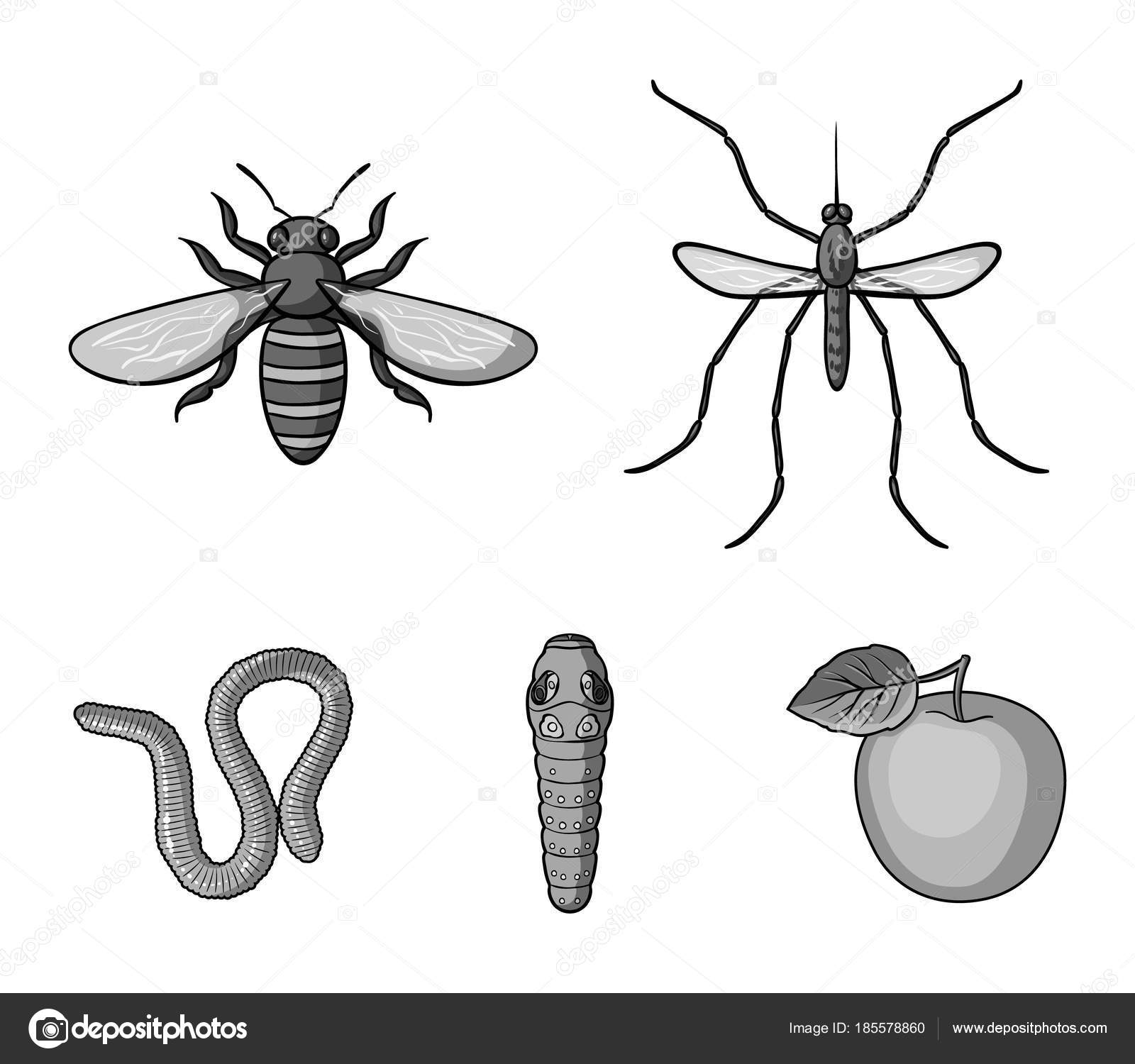 すべての動物の画像 上蜂 イラスト 白黒 すべての動物の画像 上蜂 イラスト 白黒