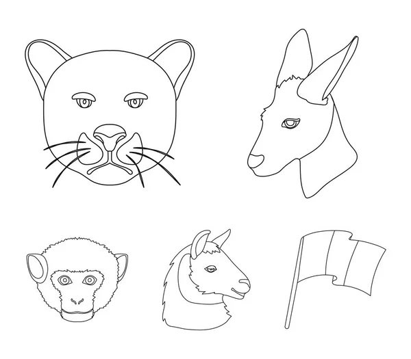 Kangoeroes, Lama, aap, panther, realistische dieren collectie iconen in omtrek stijl vector symbool stock illustratie web instellen. — Stockvector