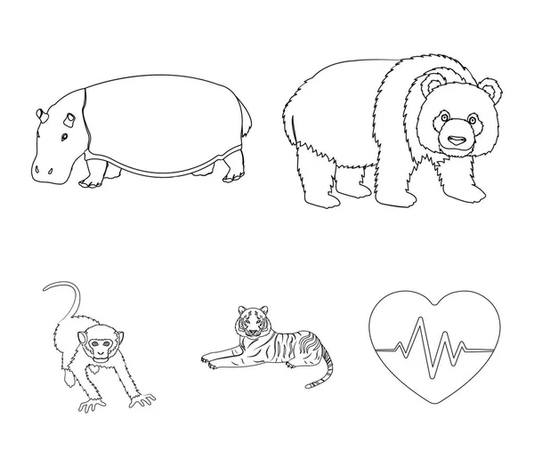 Bamboo bear, hippopotamus, wild animal tiger, monkey . Wild animal set collection icons in outline style vector symbol stock illustration web.