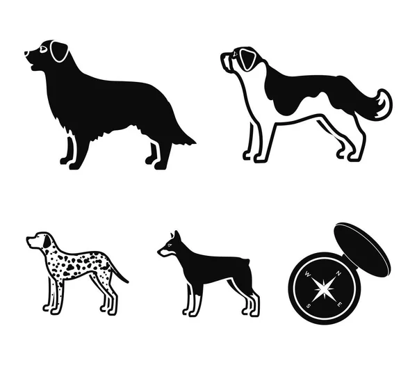 St. Bernard, retriever, doberman, labrador. Raças de cães definir ícones de coleção em estilo preto símbolo vetorial web ilustração estoque . — Vetor de Stock