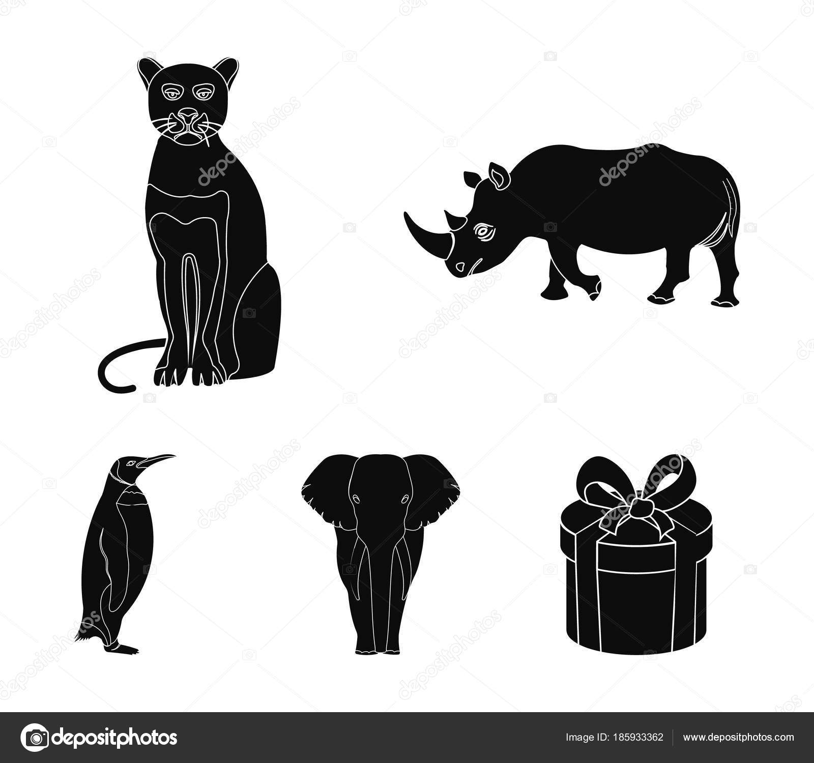 Black rhinoceros, panther wild cat, African animal elephant, imperial