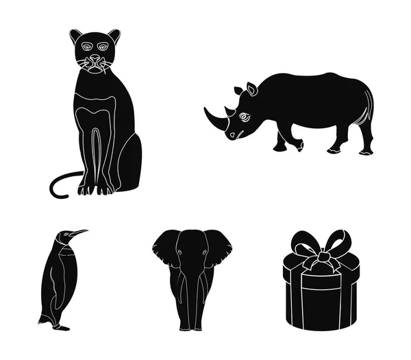 Rinoceronte nero, pantera gatto selvatico, elefante animale africano, pinguino imperiale. Animali selvatici set di icone di raccolta in stile nero vettore simbolo stock illustrazione web . — Vettoriale Stock