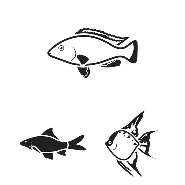 Διάφορα είδη ψαριών μαύρο εικονίδια στη συλλογή σετ για σχεδιασμό. Θαλάσσιο και το ενυδρείο ψάρια σύμβολο μετοχής web εικονογράφηση φορέα. — Διανυσματικό Αρχείο