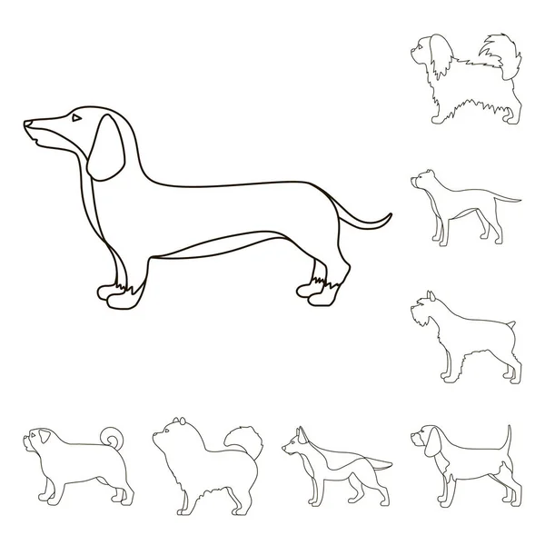 Raças de cães delinear ícones na coleção de conjuntos para design.Dog animal de estimação símbolo vetorial ilustração web . — Vetor de Stock