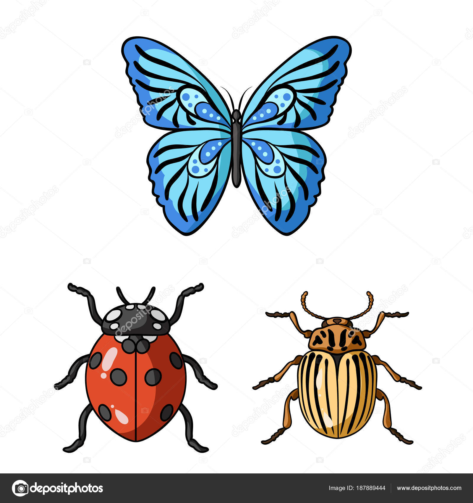 Diferentes tipos de insectos iconos de dibujos animados en la colección