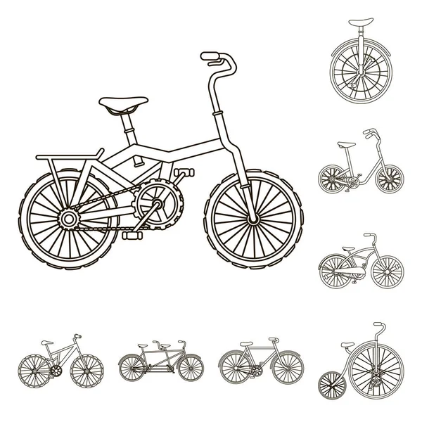 Varias bicicletas esbozan iconos en la colección de conjuntos para el diseño. El tipo de vector de transporte símbolo stock web ilustración . — Archivo Imágenes Vectoriales
