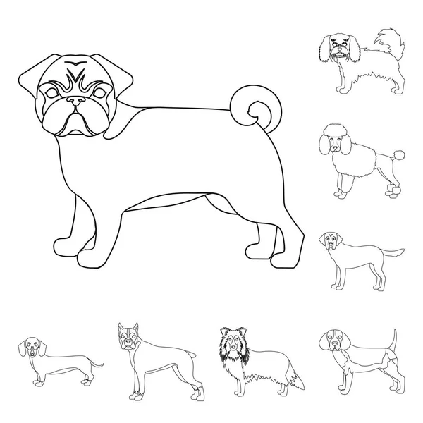 Dog breeds outline icons in set collection for design.Dog pet vector symbol stock web illustration. — Stock Vector