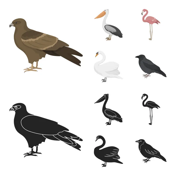 Cerf-volant, pélican, flamant rose, cygne. Oiseaux ensemble icônes de la collection dans la bande dessinée, noir style vectoriel symbole illustration web . — Image vectorielle