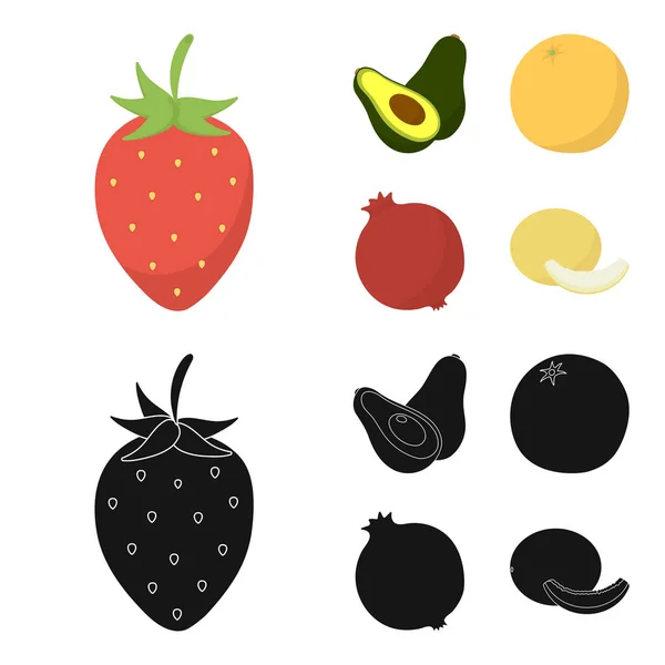 Fraise, baie, avocat, orange, grenade. Fruits ensemble icônes de la collection dans le dessin animé, noir style vectoriel symbole illustration web . — Image vectorielle