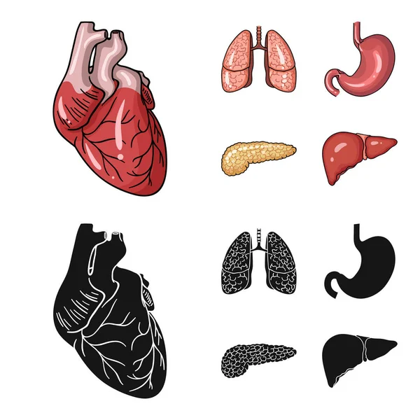 Coração, pulmões, estômago, pâncreas. Órgãos humanos conjunto coleção ícones em desenhos animados, estilo preto símbolo vetorial ilustração web . — Vetor de Stock