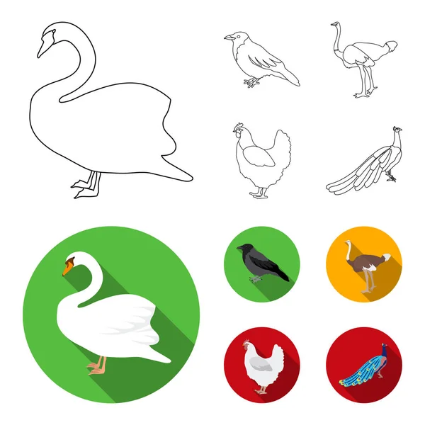 Crow, ostrich, chicken, peacock. Birds set collection icons in outline,flat style vector symbol stock illustration web. — Stock Vector