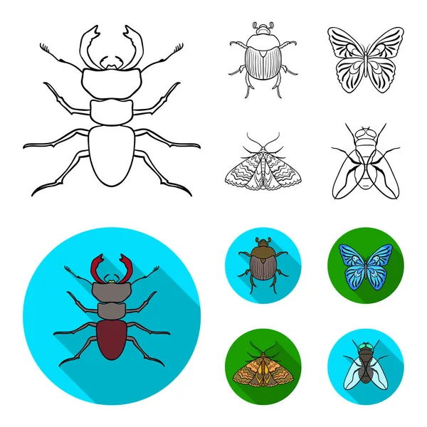 Destruidor, parasita, natureza, borboleta. Insetos definir ícones de coleção em esboço, estilo plano símbolo vetorial estoque ilustração web . — Vetor de Stock