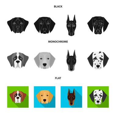 Farklı doğurmak-in köpek ağızlık. St. Bernard, golden retriever, Doberman, Dalmaçyalı doğurmak köpek toplama simgeler siyah, düz, tek renkli stil vektör simge stok çizim web içinde ayarla..