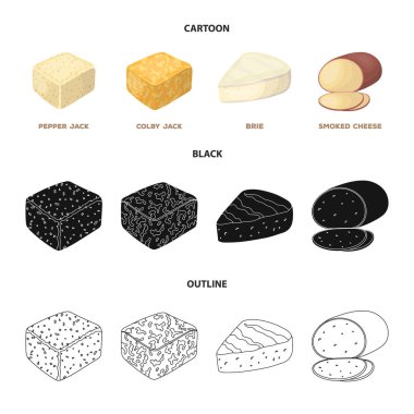 Brynza, füme, colby jack, pepper jack. Farklı peynir toplama simgeler çizgi film, siyah, anahat stili vektör simge stok çizim web içinde ayarla..