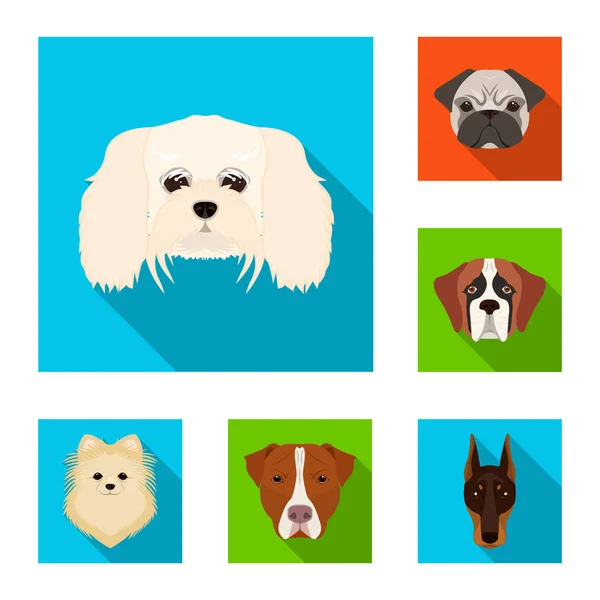 Hundraser platt ikoner i set samling för design. Mynningen på en hund vektor symbol lager web illustration. — Stock vektor