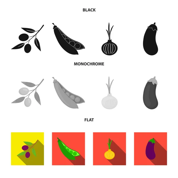 Oliviers sur une branche, pois, oignons, aubergines. Légumes ensemble collection icônes en noir, plat, monochrome style vectoriel symbole illustration web . — Image vectorielle