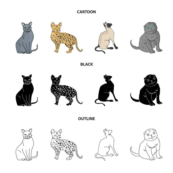 シャムや他の種。猫の品種は、漫画、黒、アウトライン スタイル ベクトル シンボル ストック イラスト web でコレクション アイコンを設定します。. — ストックベクタ
