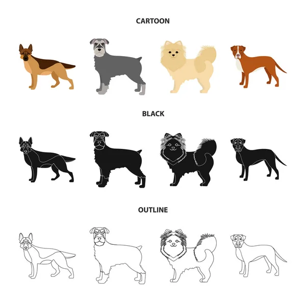 Dog φυλών καρτουν, μαυρες, περίγραμμα εικονίδια στη συλλογή σετ για σχεδιασμό. Σκύλος συντροφιάς διάνυσμα σύμβολο μετοχών web εικονογράφηση. — Διανυσματικό Αρχείο