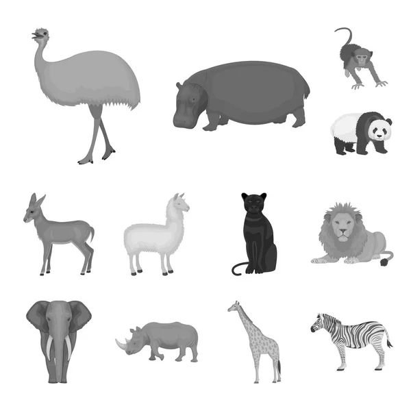 Diferentes animales iconos monocromáticos en la colección de conjuntos para el diseño. Pájaro, depredador y herbívoro vector símbolo stock web ilustración . — Vector de stock