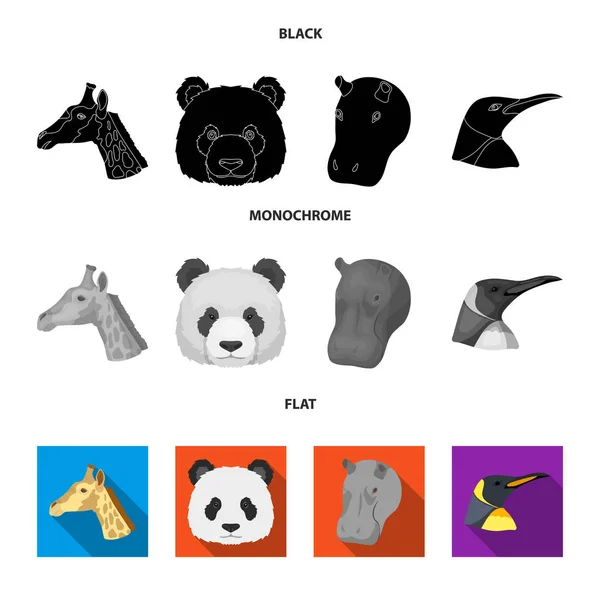 Panda, jirafa, hipopótamo, pingüino, animales realistas conjunto colección iconos en negro, plano, monocromo estilo vector símbolo stock illustration web . — Archivo Imágenes Vectoriales