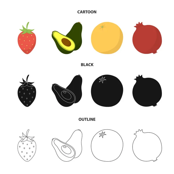 Eper, bogyó, avokádó, narancs, gránátalma. Gyümölcs gyűjtemény ikonok településen, rajzfilm, fekete, vázlat stílusú vektor szimbólum stock illusztráció web. — Stock Vector