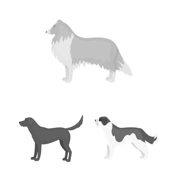 狗在集合中滋生单色图标以供设计。狗宠物矢量符号股票网页插图. — 图库矢量图片