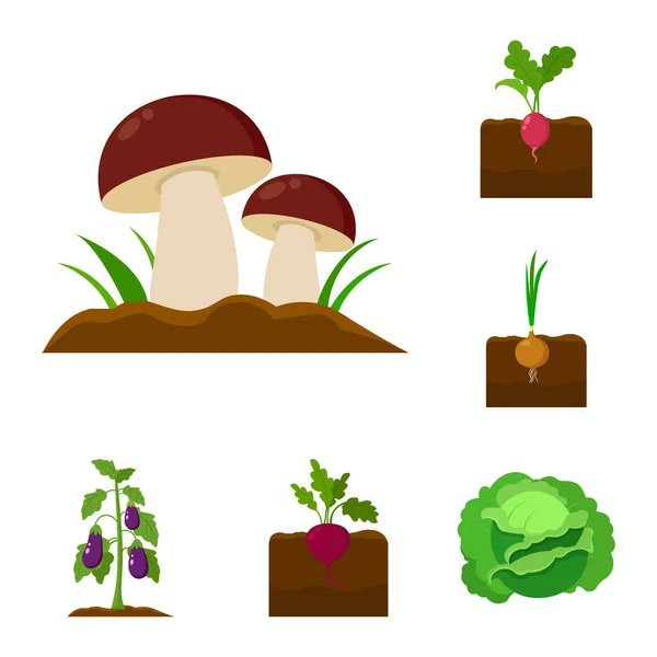 Plant, vegetable cartoon icons in set collection for design. Garden and harvest vector symbol stock web illustration. — Stock Vector