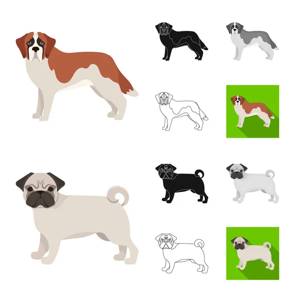 Perro razas de dibujos animados, negro, plano, monocromo, iconos de contorno en la colección de conjuntos para design.Dog mascota vector símbolo stock web ilustración . — Vector de stock