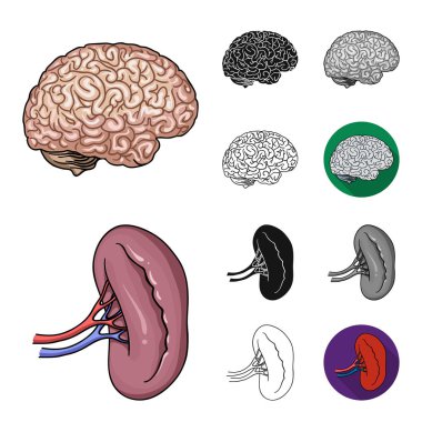 İnsan organlarını çizgi film, siyah, düz, siyah-beyaz anahat simgeleri set koleksiyonu tasarım için. Sembol stok web illüstrasyon vektör anatomi ve iç organlar.