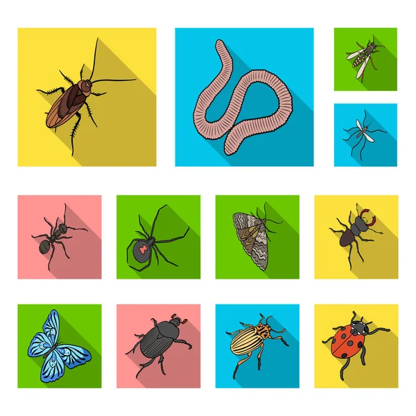 Different kinds of insects flat icons in set collection for design. Insect arthropod vector isometric symbol stock web illustration. — Stock Vector