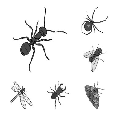 Böcekler tek renkli simgeler set koleksiyonu tasarım için farklı türde. Böcek Eklem bacaklılar vektör izometrik sembol stok web çizimi.