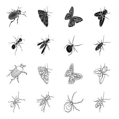Böcek bir Eklem bacaklılar, bir osa, bir örümcek, Hamam böceği. Böcekler toplama simgeler siyah, anahat stili vektör simge stok izometrik çizim web içinde ayarla..