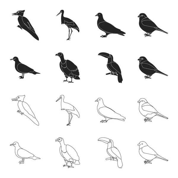 Racek, Tukan a dalších druhů. Ptáci nastavení kolekce ikon v černé, osnovy styl vektor symbol akcií ilustrace web. — Stockový vektor