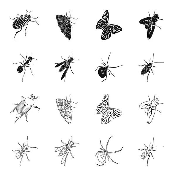 Um inseto artrópode, uma osa, uma aranha, uma barata. Insetos definir ícones de coleção em preto, esboço estilo vetor símbolo estoque isométrico ilustração web . — Vetor de Stock