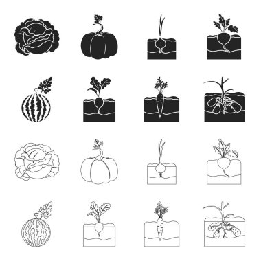 Karpuz, turp, havuç, patates. Bitki toplama simgeler siyah, anahat stili vektör simge stok çizim web içinde ayarla..