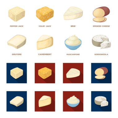 Gruyere, camembert, mascarpone, gorgonzola. Farklı peynir toplama simgeler çizgi film, düz stil vektör simge stok çizim web ayarla..