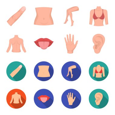 Kişi, ağız, el, kulak arkası. Gövde bölümü çizgi film, düz stil vektör simge stok çizim web simgeler ayarla.